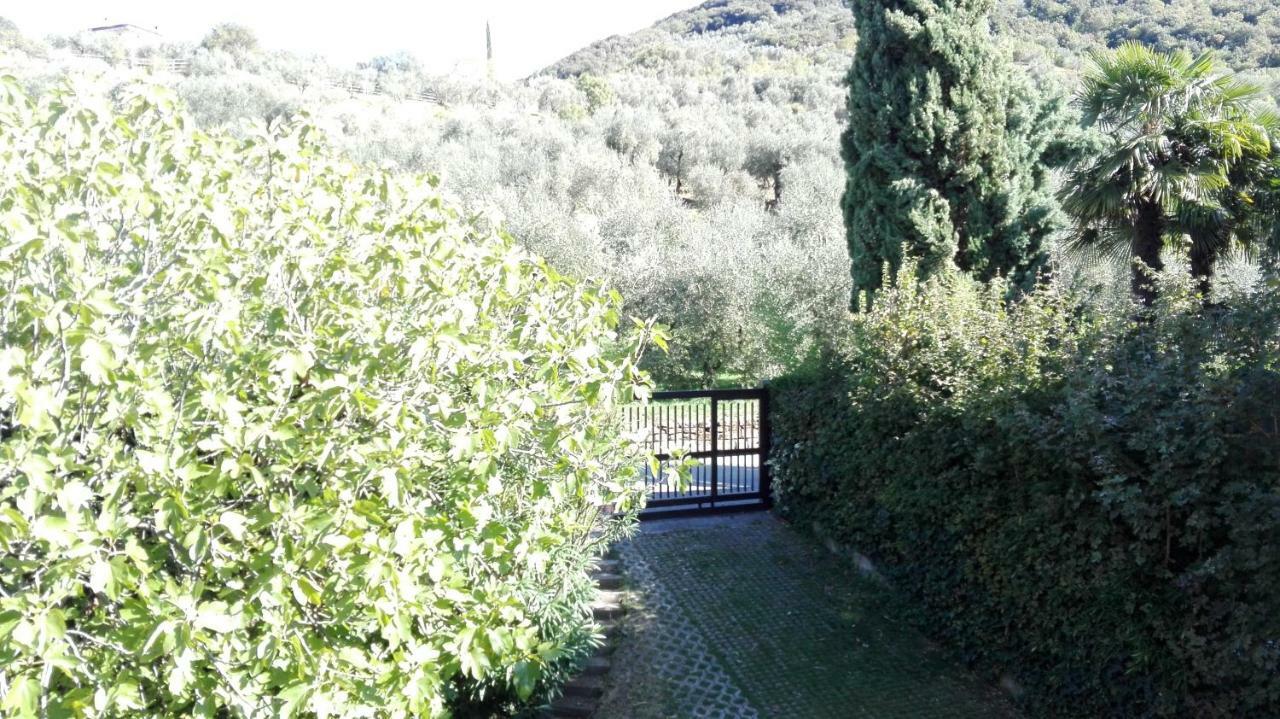 Apartamento Terrazza Sugli Ulivi Riva del Garda Exterior foto